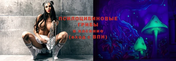 спайс Михайлов