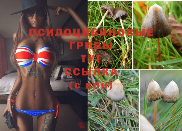 спайс Михайлов