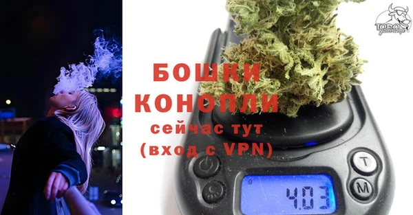 спайс Михайлов