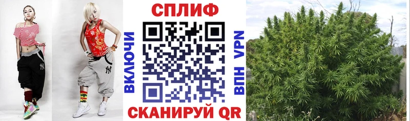 Купить  Нововоронеж  Бошки марихуана семена 